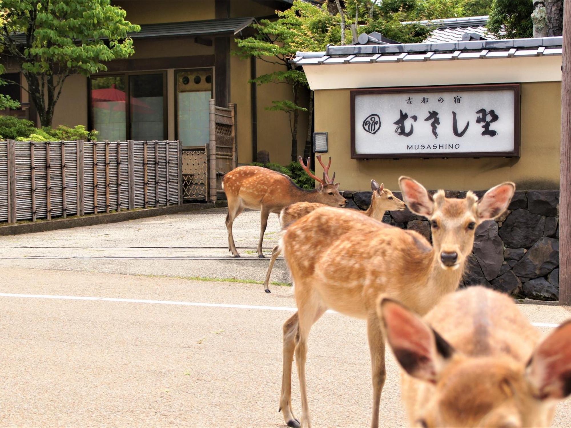 Kotonoyado Musashino Nara Buitenkant foto